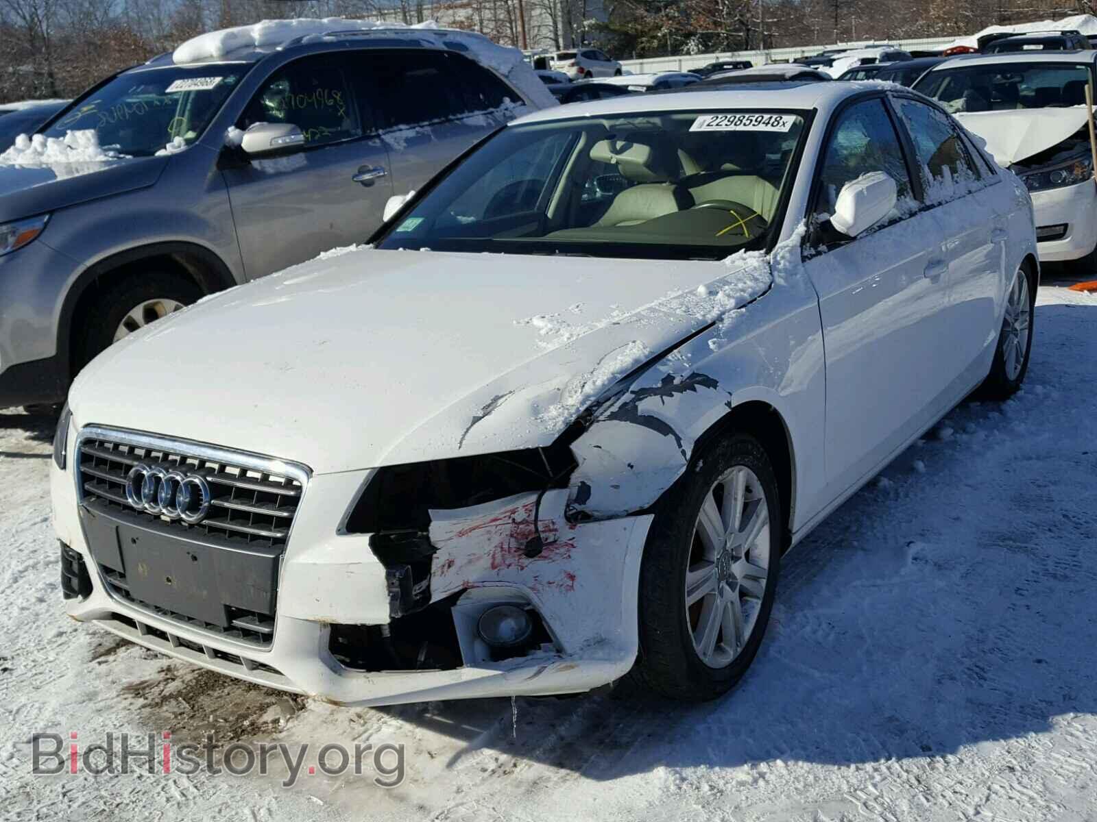 2011 AUDI A4 - VIN: WAUAFAFL7BN034420 - Фото 2