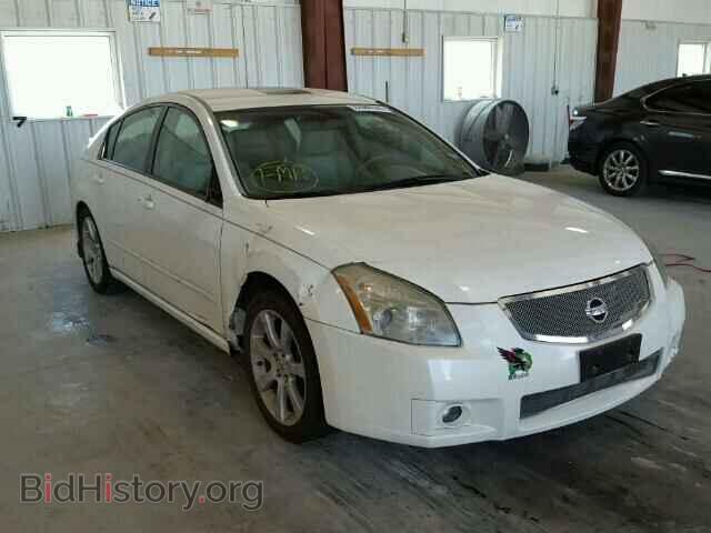 Photo 1N4BA41EX8C808685 - NISSAN MAXIMA 2008