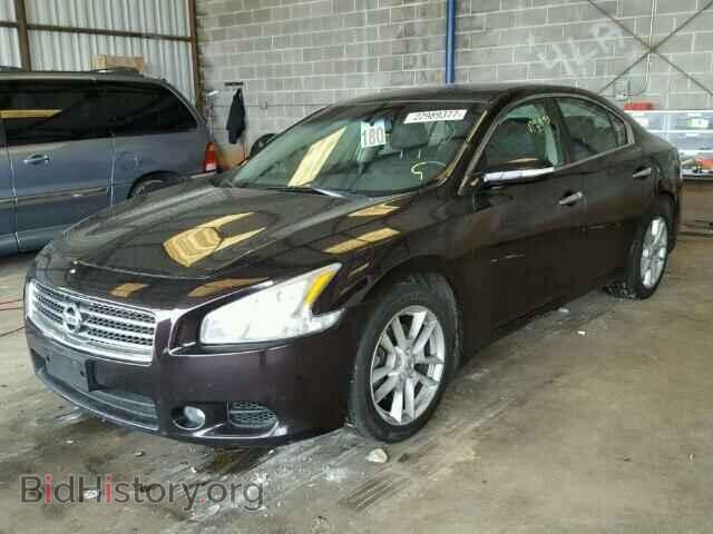 2010 NISSAN MAXIMA - VIN: 1N4AA5AP0AC842742 - Фото 2
