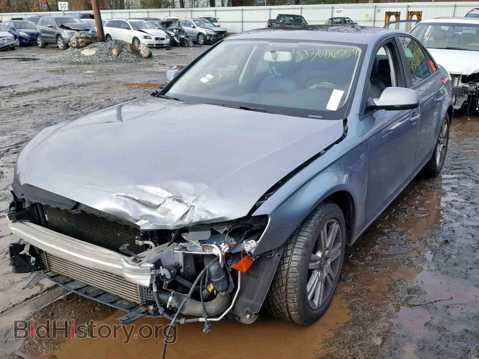 2010 AUDI A4 - VIN: WAUBFAFL6AN055553 - Фото 2