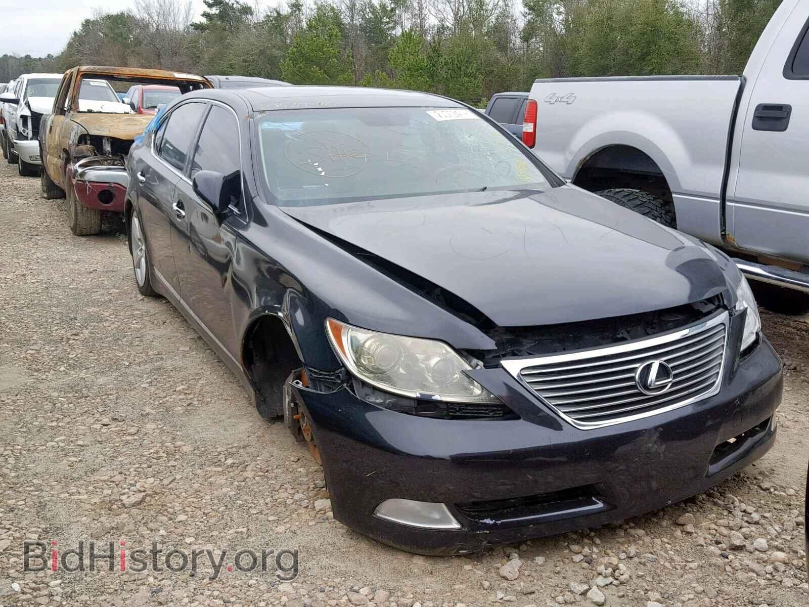 Фотография JTHGL46F285024225 - LEXUS LS460 2008