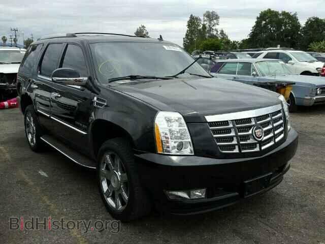 Photo 1GYS3BEF5BR155550 - CADILLAC ESCALADE 2011
