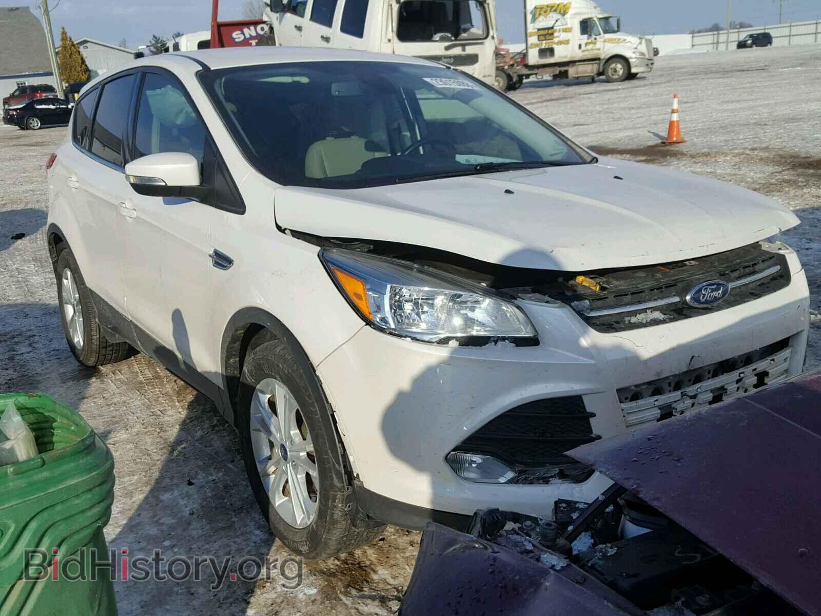Фотография 1FMCU0HX8DUB45798 - FORD ESCAPE 2013