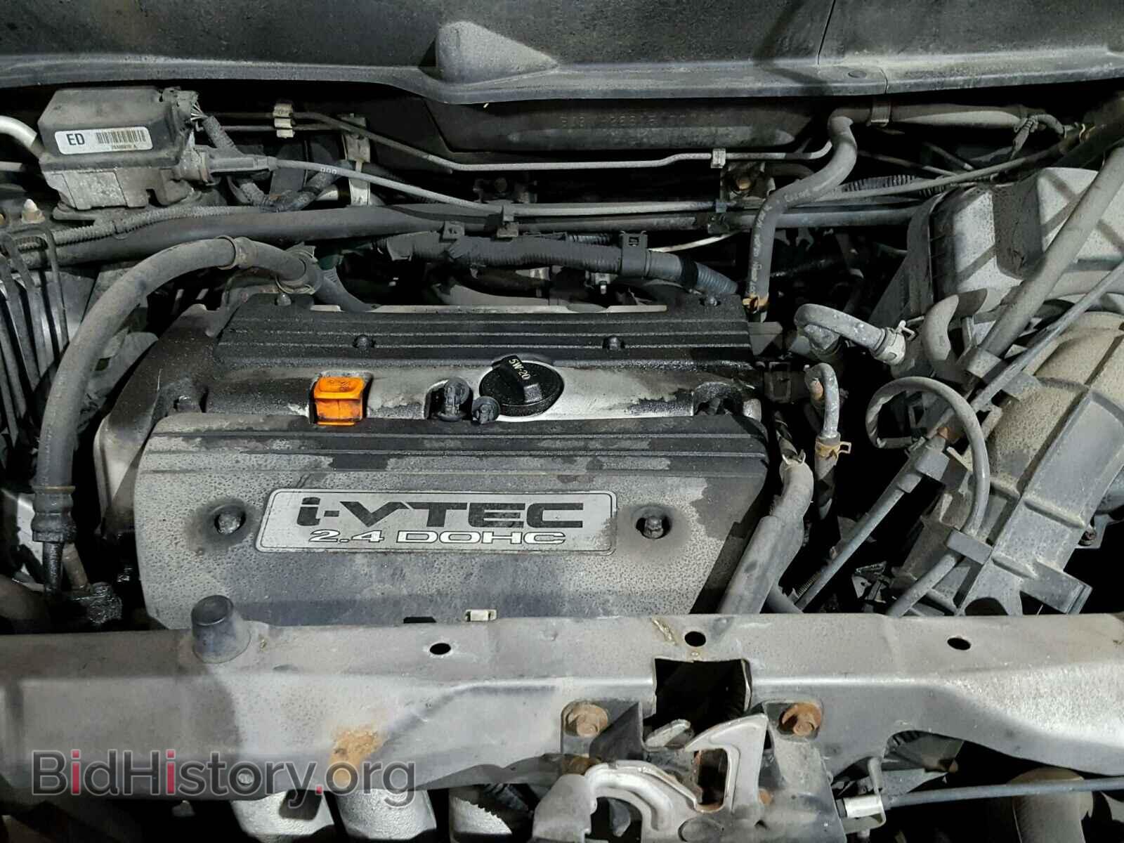 2005 HONDA ELEMENT - VIN: 5J6YH28615L001528 - Фото 7