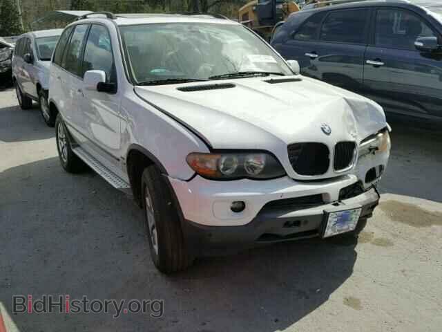 Photo 5UXFA13515LY09774 - BMW X5 2005