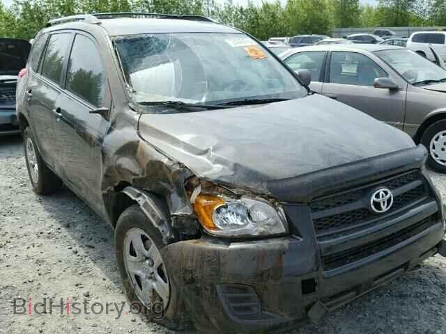 Фотография 2T3KF4DV1CW117588 - TOYOTA RAV4 2012