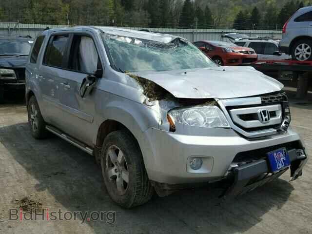 Фотография 5FNYF3H44BB007564 - HONDA PILOT 2011