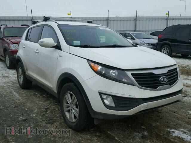 Фотография KNDPBCA21C7303455 - KIA SPORTAGE 2012