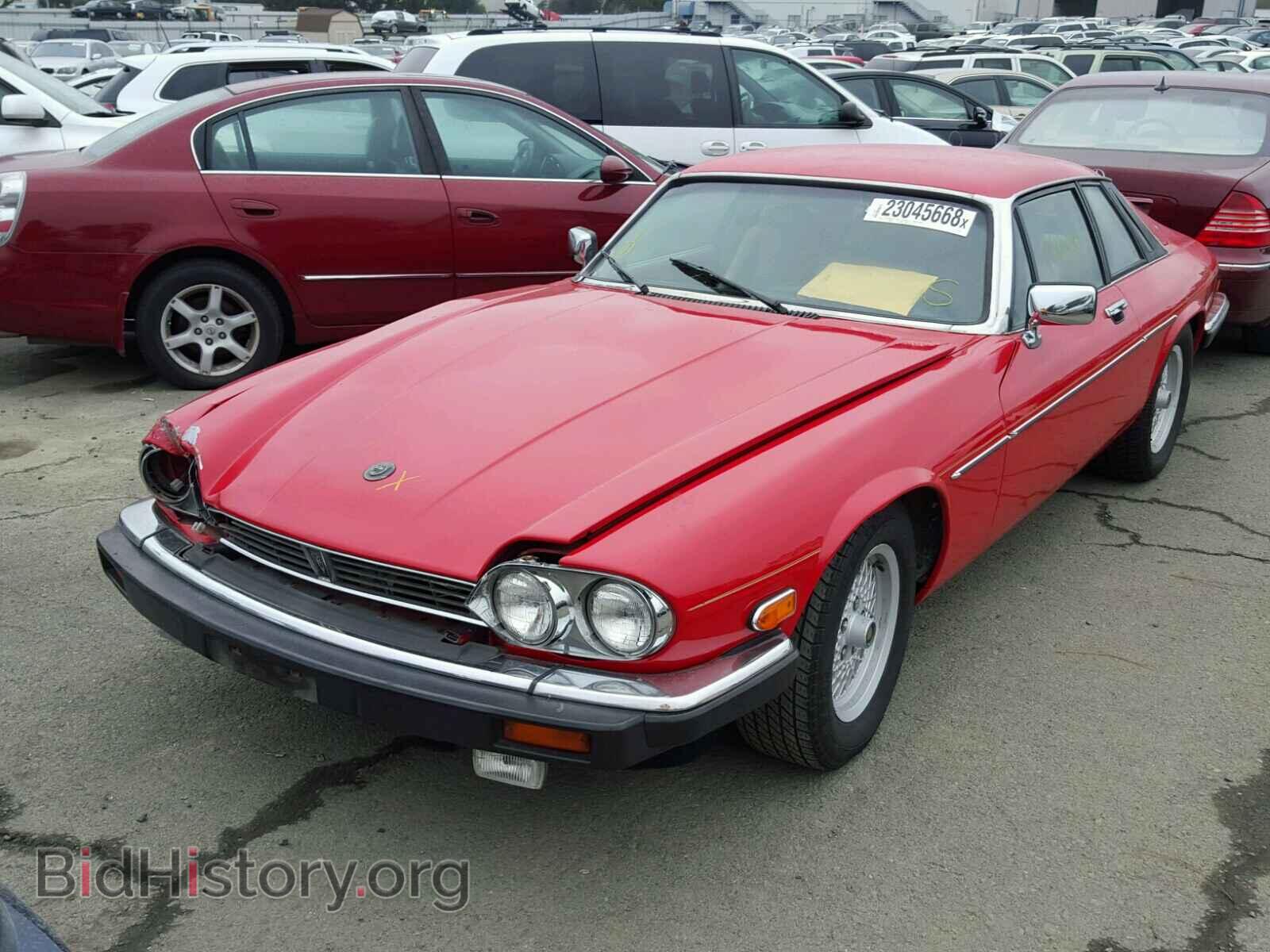 1989 JAGUAR XJS - VIN: SAJNA5840KC149759 - Фото 2