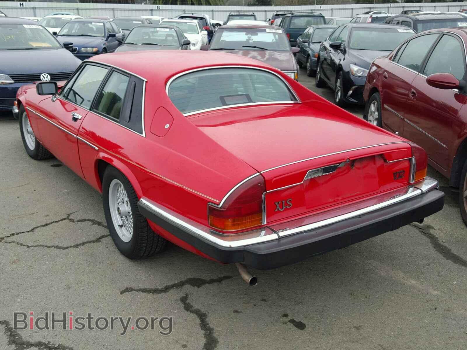 1989 JAGUAR XJS - VIN: SAJNA5840KC149759 - Фото 3