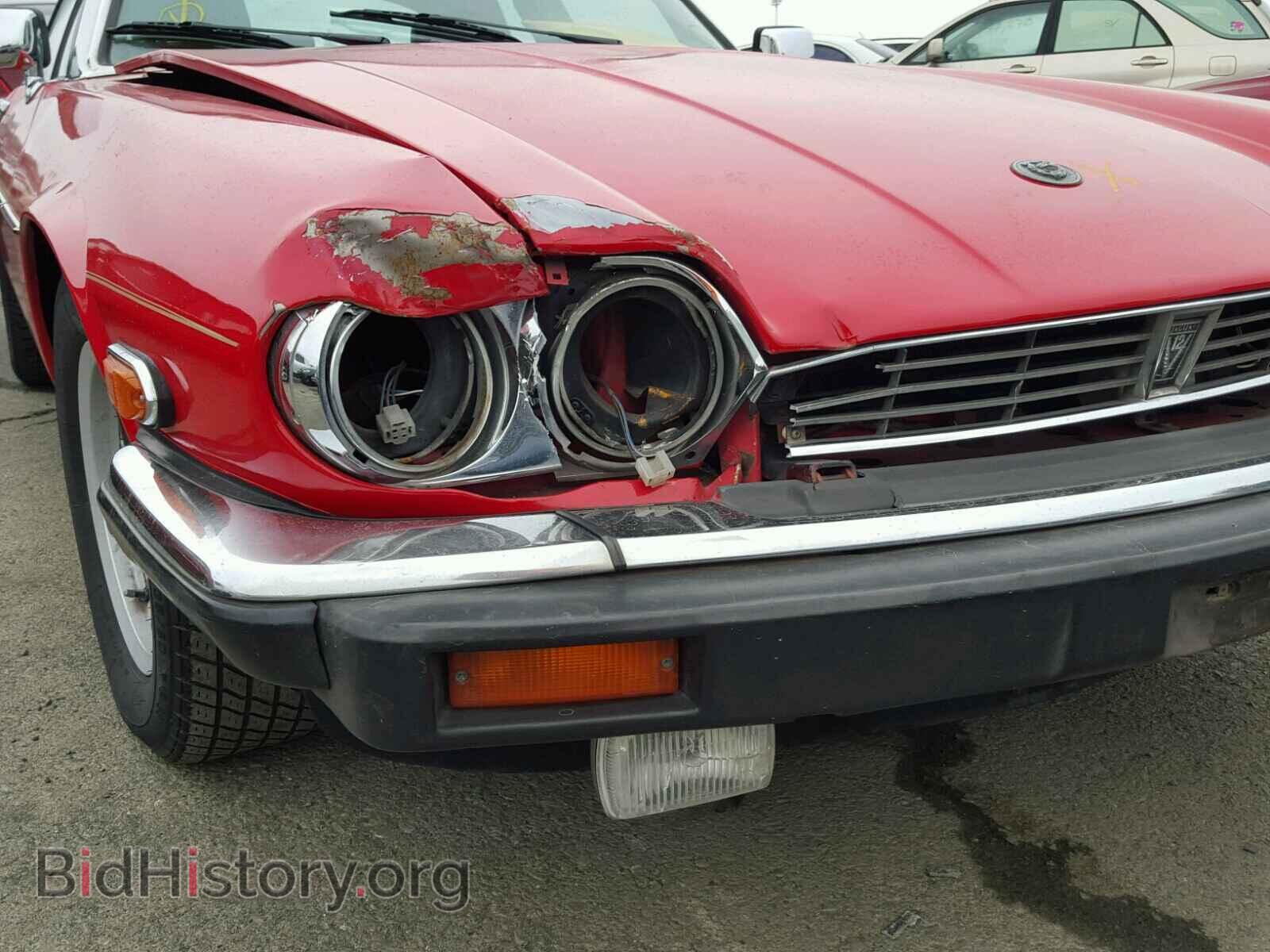 1989 JAGUAR XJS - VIN: SAJNA5840KC149759 - Фото 9
