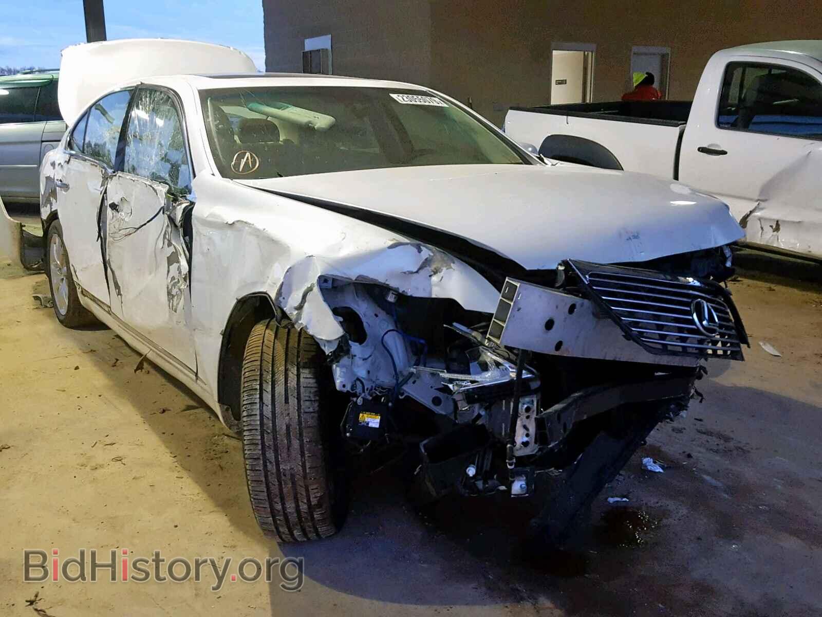 Фотография JTHGL46F685024941 - LEXUS LS460 2008