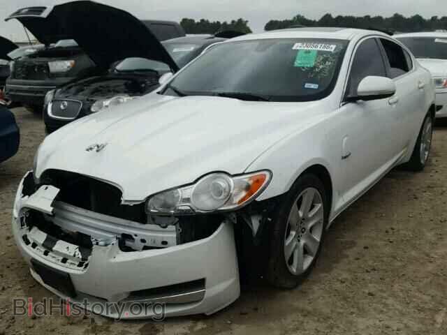 2011 JAGUAR XF - VIN: SAJWA0FB6BLS09553 - Фото 2
