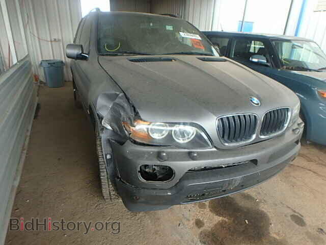 Photo 5UXFA13576LY28850 - BMW X5 2006