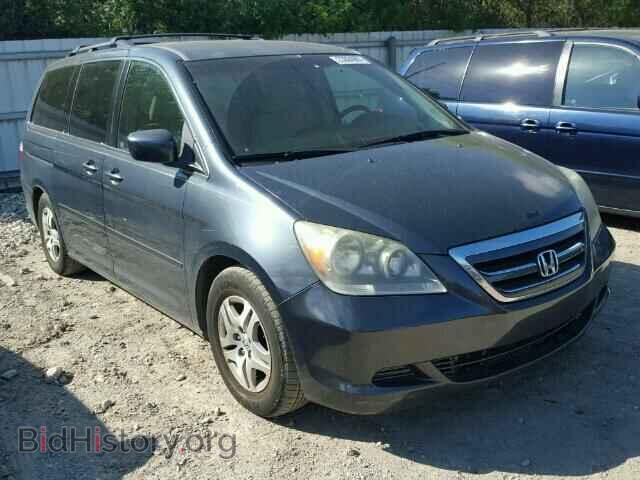Фотография 5FNRL384X5B402981 - HONDA ODYSSEY 2005