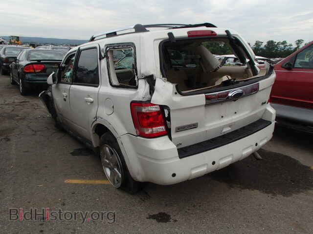 2011 FORD ESCAPE - VIN: 1FMCU9EG8BKA36310 - Photo 3