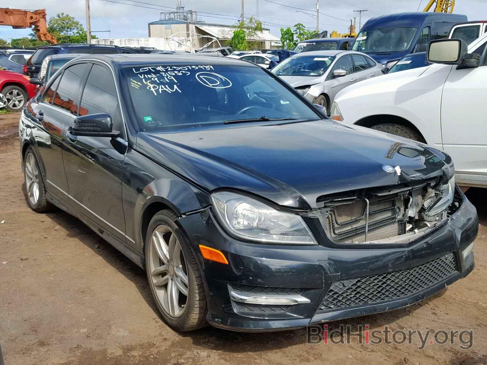 Photo WDDGF4HB9DA781553 - MERCEDES-BENZ C 250 2013