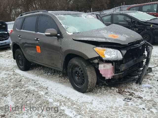 Фотография 2T3BF4DV0BW113644 - TOYOTA RAV4 2011