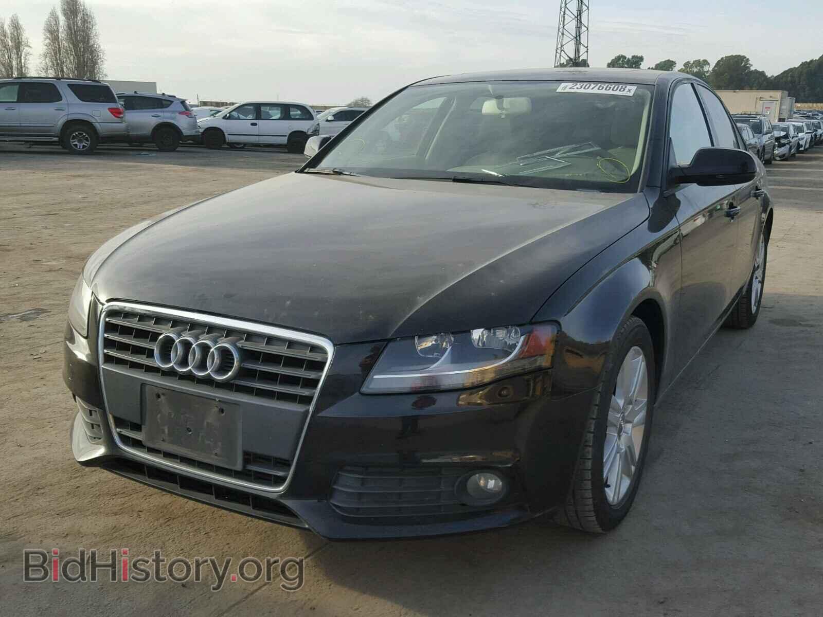 2010 AUDI A4 - VIN: WAUAFAFLXAN008148 - Фото 2