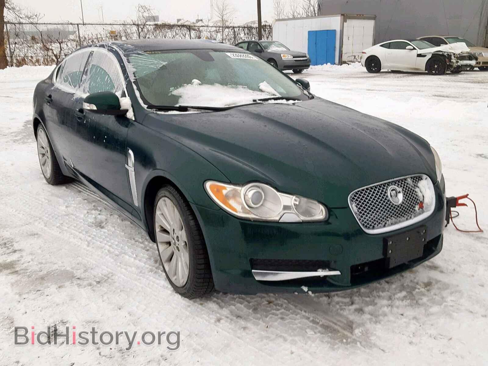 Фотография SAJXA06B19HR19073 - JAGUAR XF 2009
