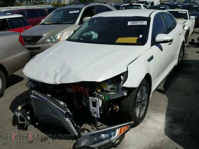 2017 KIA OPTIMA - VIN: KNAGT4LC7H5007638 - Фото 2