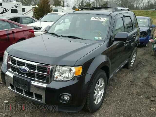 2011 FORD ESCAPE - VIN: 1FMCU9EG0BKB60264 - Фото 2
