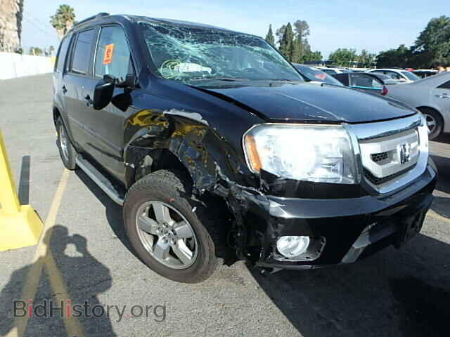 Фотография 5FNYF3H72BB043019 - HONDA PILOT 2011