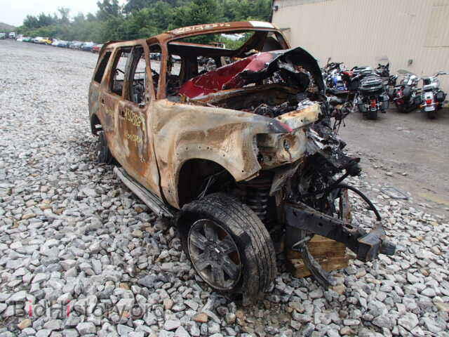 Photo 1FMEU73E97UB61150 - FORD EXPLORER 2007