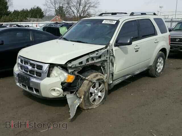 2009 FORD ESCAPE - VIN: 1FMCU04G29KC02456 - Фото 2