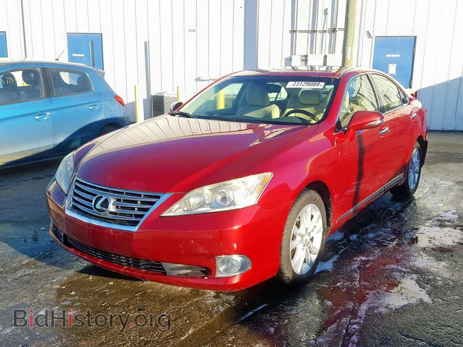 2010 LEXUS ES350 - VIN: JTHBK1EG7A2380182 - Фото 2