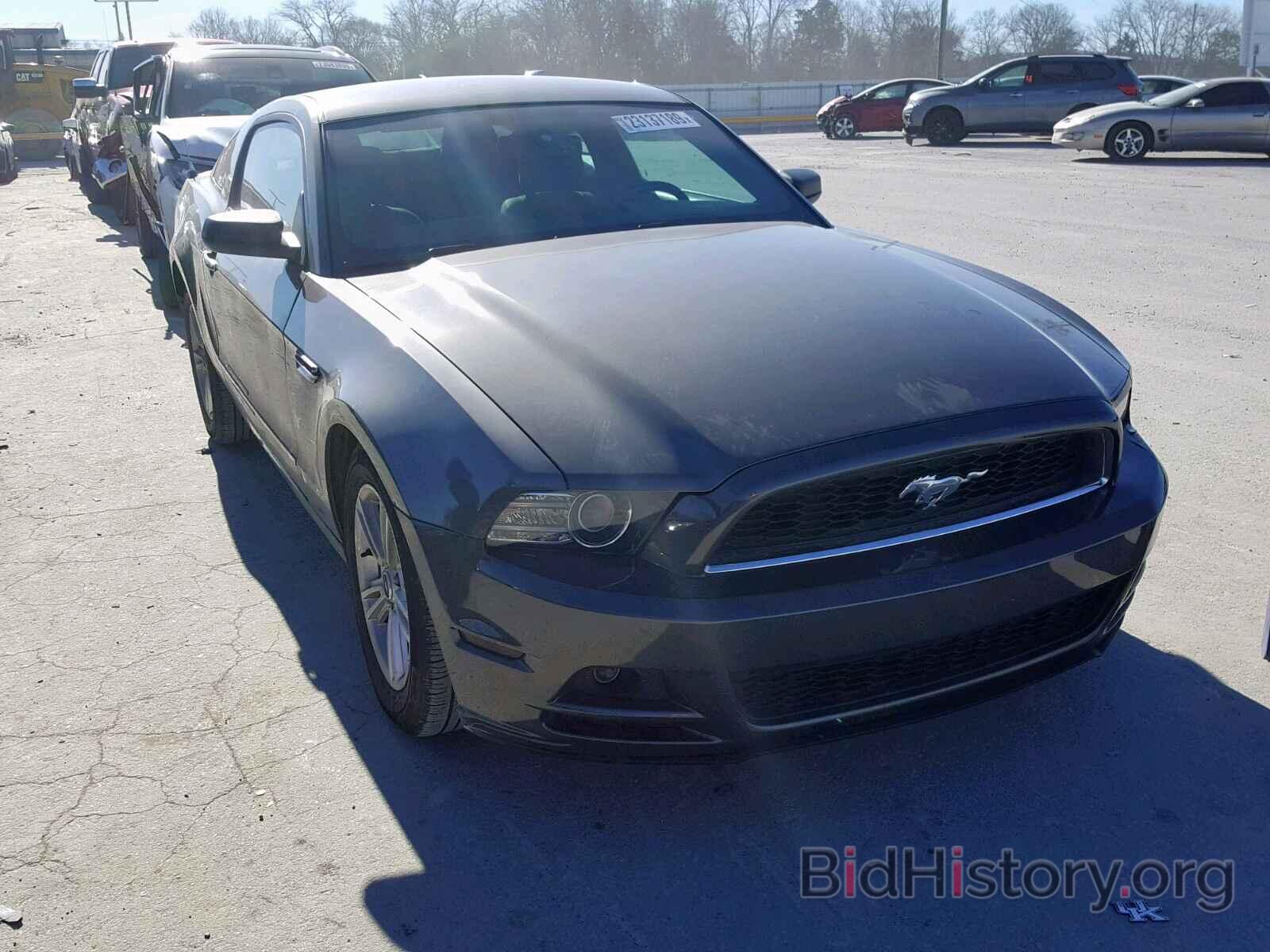 Photo 1ZVBP8AM6E5274184 - FORD MUSTANG 2014