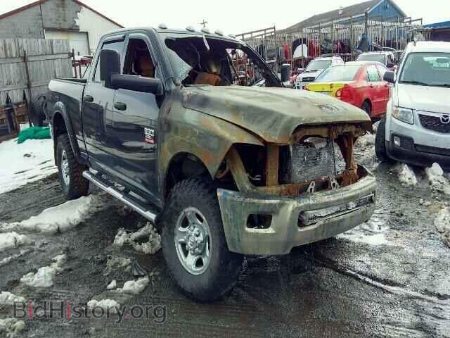 Photo 3C6UD5DL7CG349235 - DODGE RAM 2012