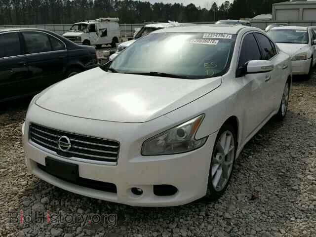 2009 NISSAN MAXIMA - VIN: 1N4AA51E59C803929 - Фото 2