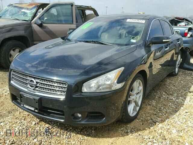 2009 NISSAN MAXIMA - VIN: 1N4AA51E79C858267 - Фото 2