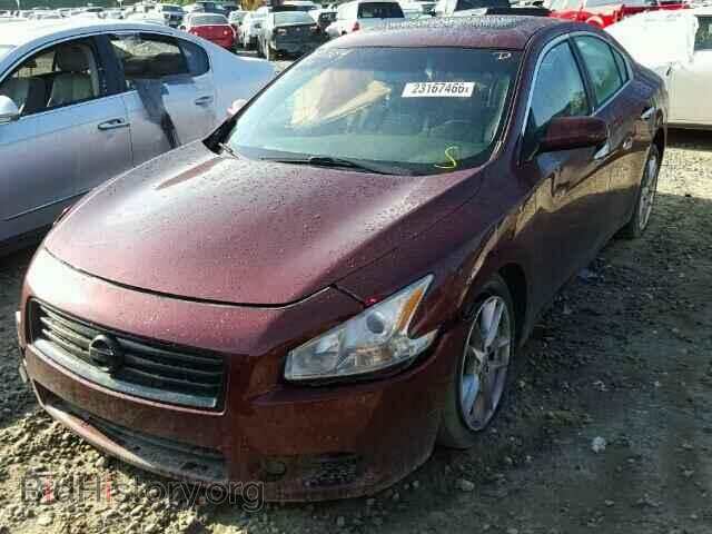 2011 NISSAN MAXIMA - VIN: 1N4AA5AP4BC834600 - Photo 2