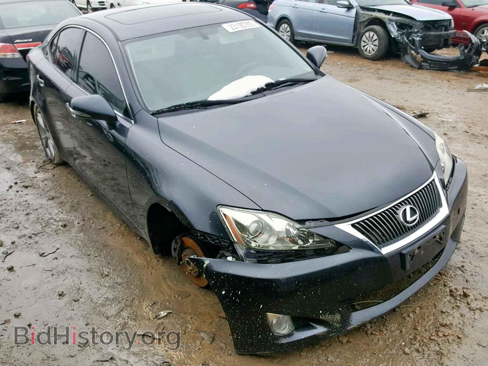 Фотография JTHBK262495094471 - LEXUS IS 250 2009