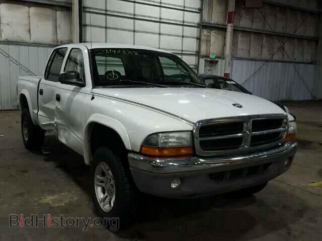 Photo 1D7HG48N44S751141 - DODGE DAKOTA 2004