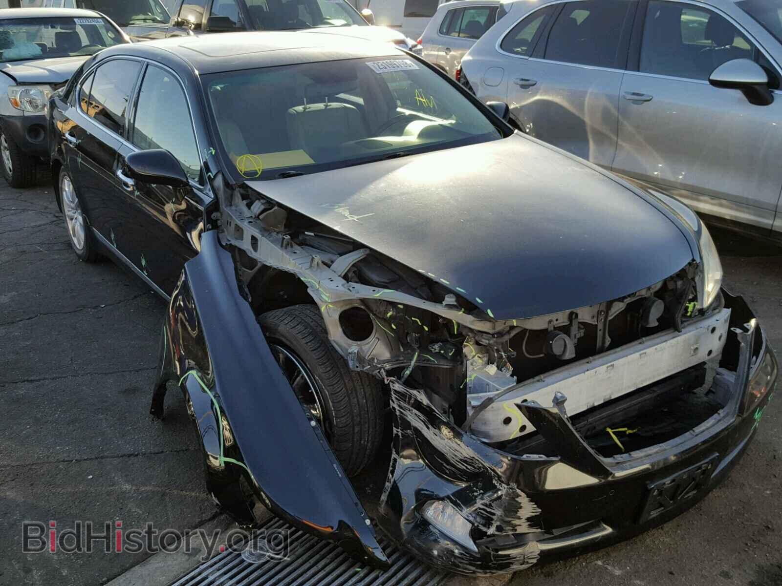 Фотография JTHGL46F785033390 - LEXUS LS460 2008