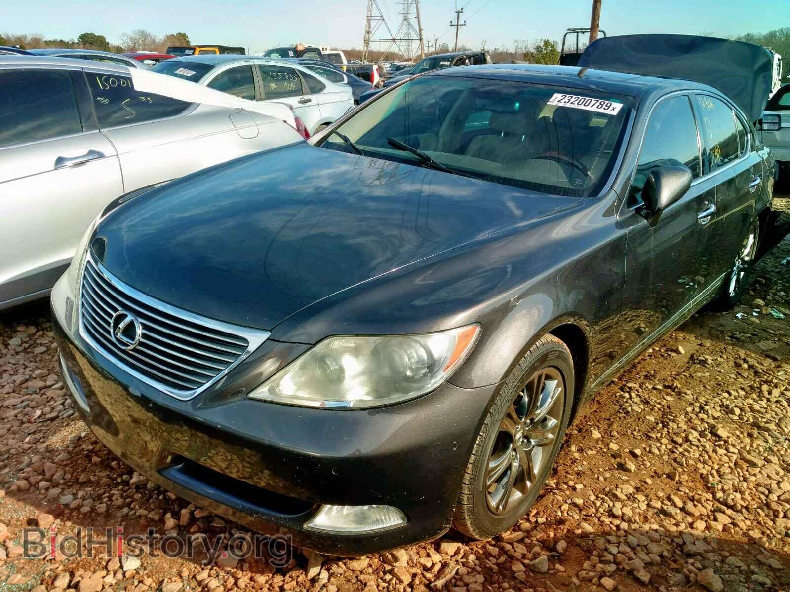 2008 LEXUS LS460 - VIN: JTHBL46F985068264 - Фото 2