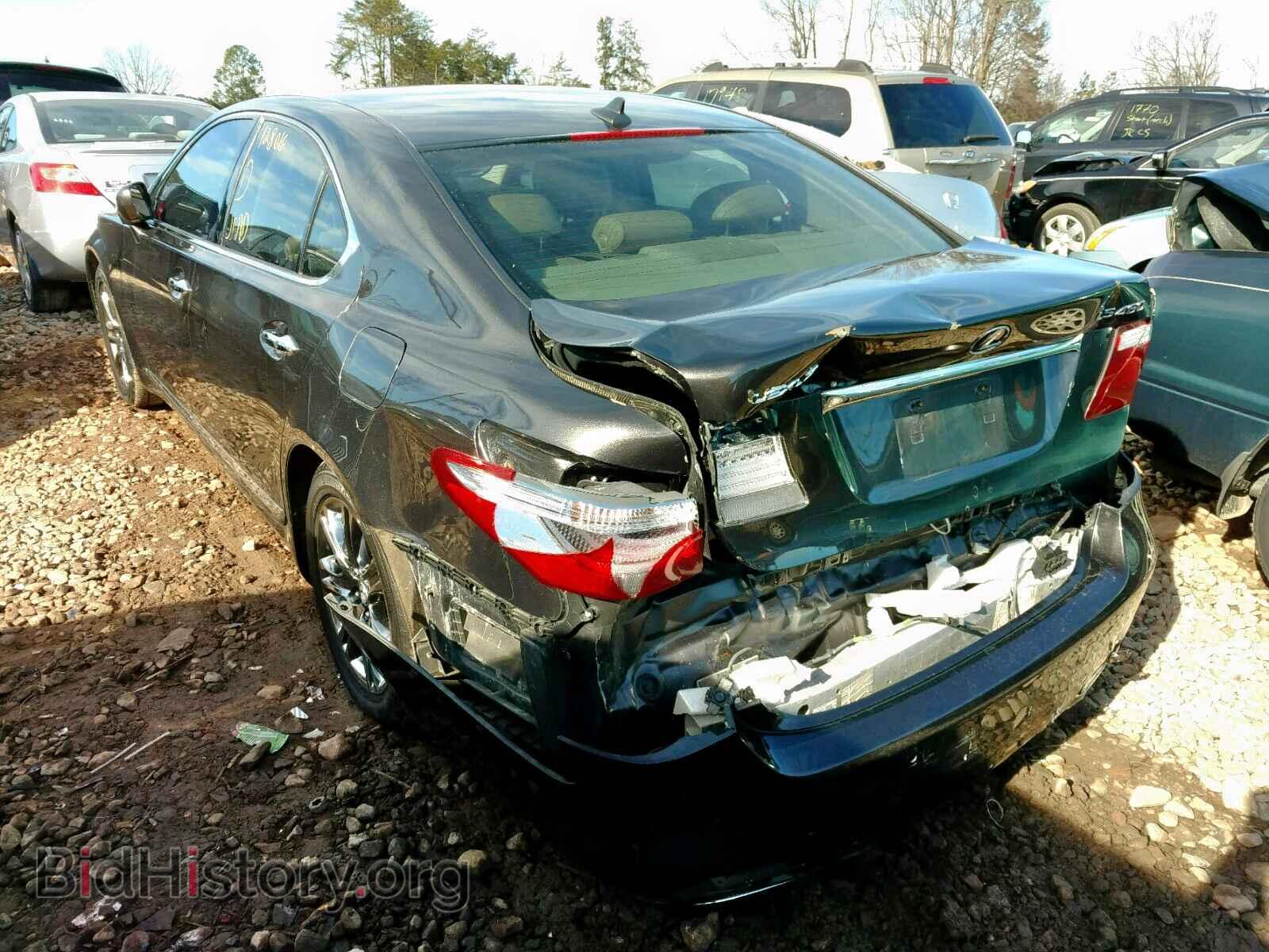 2008 LEXUS LS460 - VIN: JTHBL46F985068264 - Фото 3