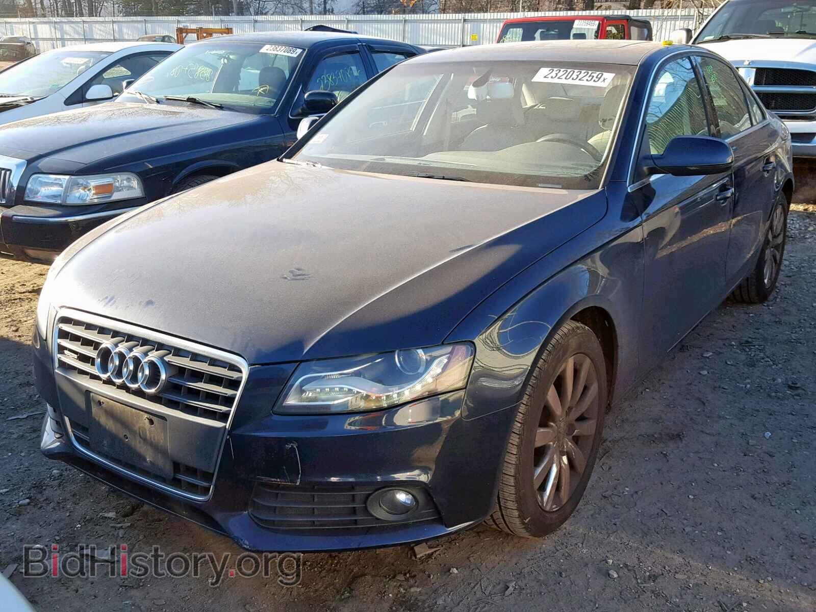 2010 AUDI A4 - VIN: WAUHFAFL1AN038489 - Фото 2