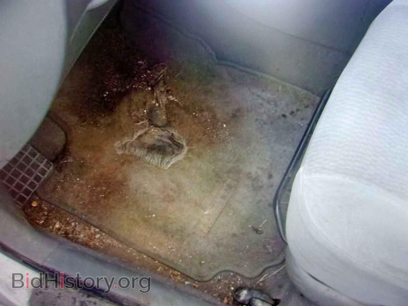 2007 TOYOTA COROLLA - VIN: 1NXBR32E87Z848196 - Фото 5