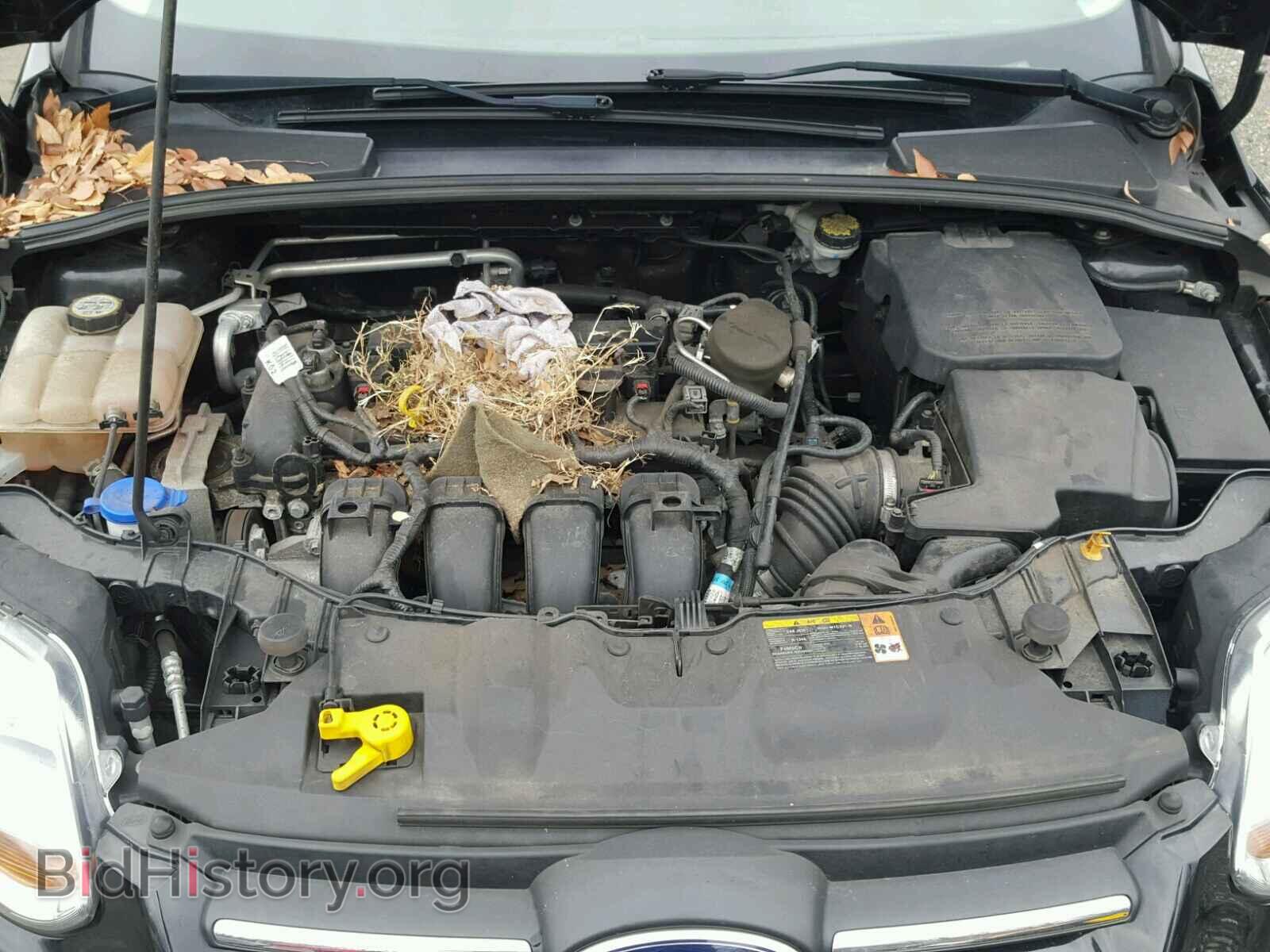 2013 FORD FOCUS - VIN: 1FADP3E29DL275479 - Фото 7