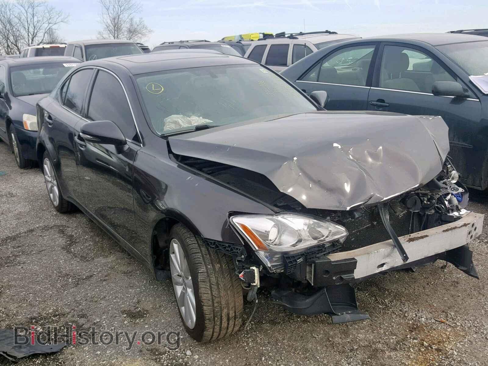 Фотография JTHCK262495028894 - LEXUS IS 250 2009