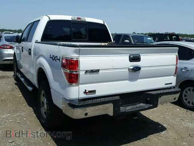 2014 FORD F150 - VIN: 1FTFW1EF5EKF73631 - Photo 3
