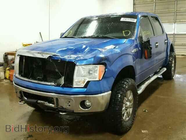 2011 FORD F150 - VIN: 1FTFW1EF8BFA19021 - Фото 2