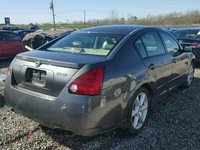 2006 NISSAN MAXIMA - VIN: 1N4BA41E06C857648 - Фото 4