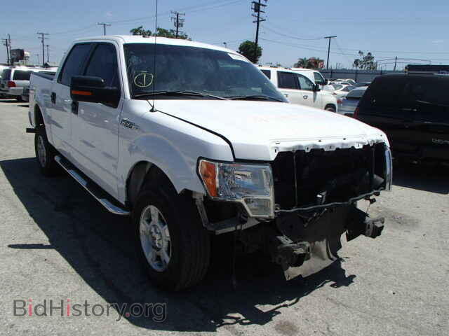 Фотография 1FTFW1CF1DFE03647 - FORD F150 2013