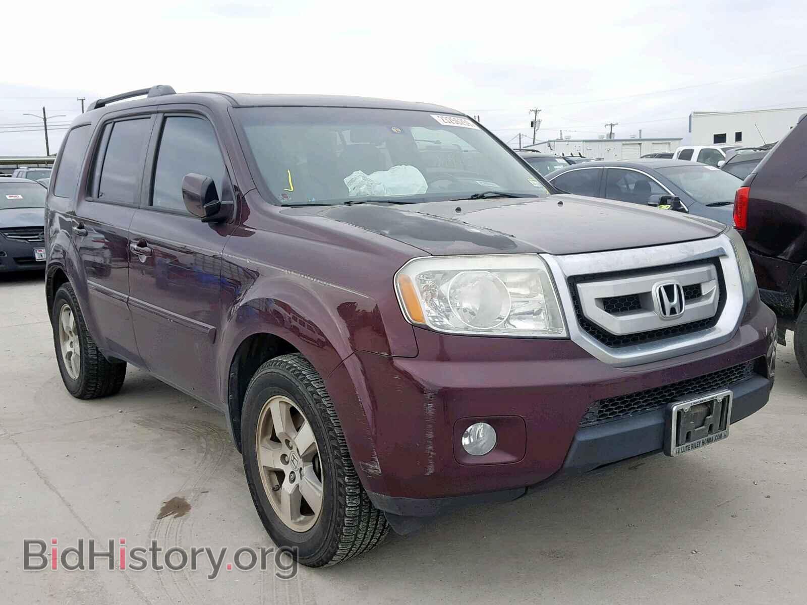Фотография 5FNYF3H52BB019933 - HONDA PILOT EXL 2011