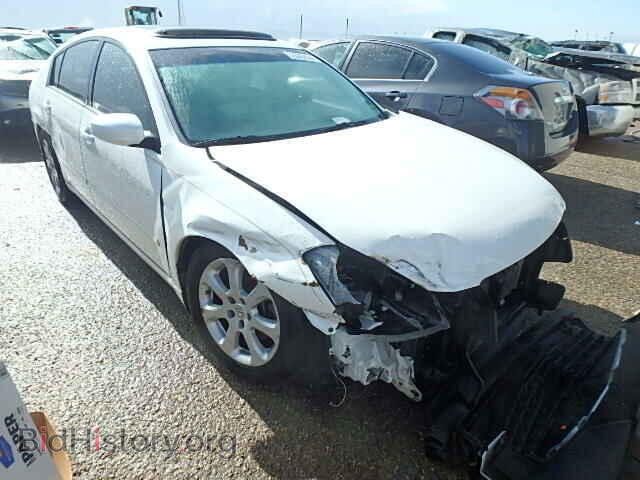 Photo 1N4BA41E98C802165 - NISSAN MAXIMA 2008